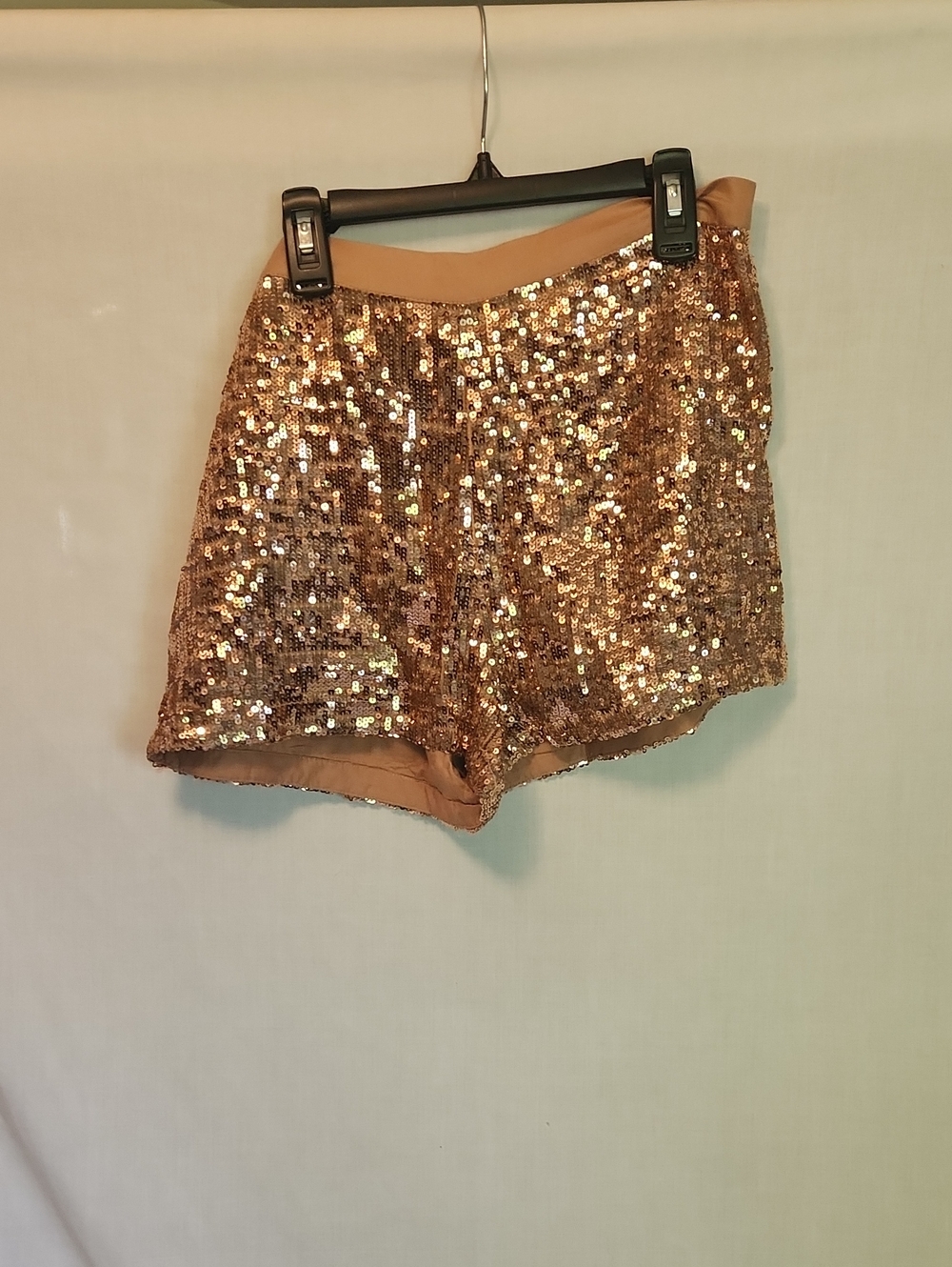 Anthropologie Rose/Pink Sequin High-Waist Shorts